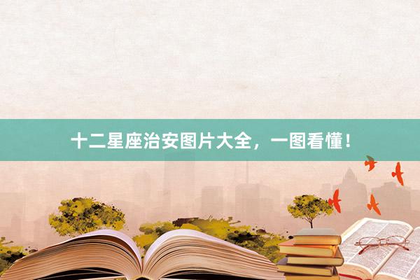 十二星座治安图片大全，一图看懂！