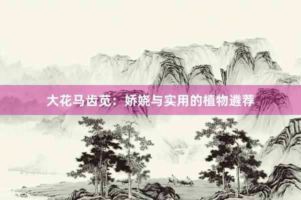 大花马齿苋：娇娆与实用的植物遴荐