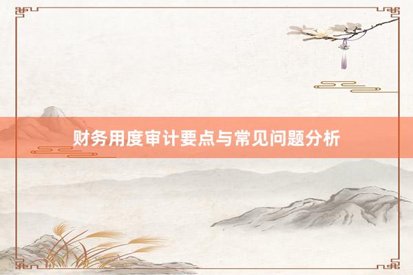 财务用度审计要点与常见问题分析